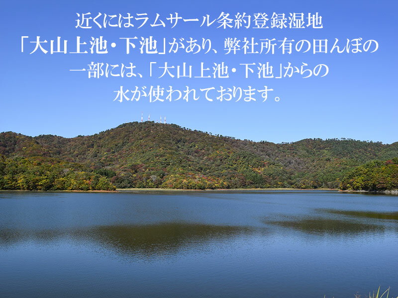 【ふるさと納税】令和7年産 馬町さくらファームの はえぬき 15kg（5kg×3袋） 【お選びください：精米 or 無洗米】　K-7147　| 米 お米 コメ こめ 15キロ ご飯 ごはん ブランド米 国産 美味しい おいしい 返礼品 - 画像3