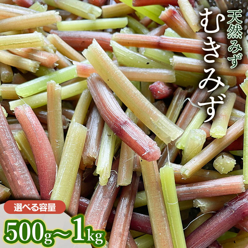 【令和8年産先行予約】むきみず 【500g〜1kg】　天然みず 　わかば屋