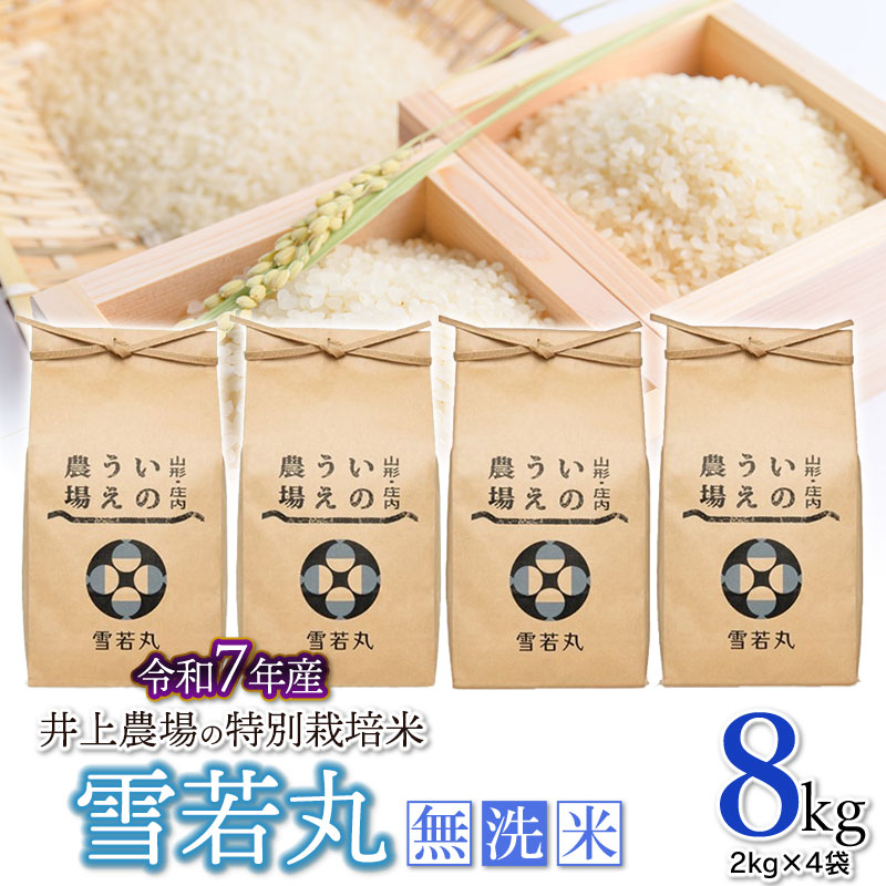 【令和7年産】井上農場の特別栽培米 雪若丸 無洗米 8kg（2kg×4袋）　K-756
