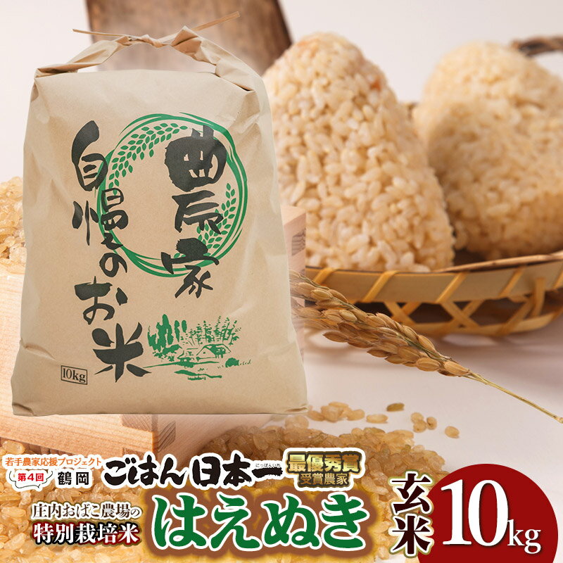 令和7年産庄内おばこ農場の特別栽培米 はえぬき【玄米】10kg（10kg×1袋） K-784