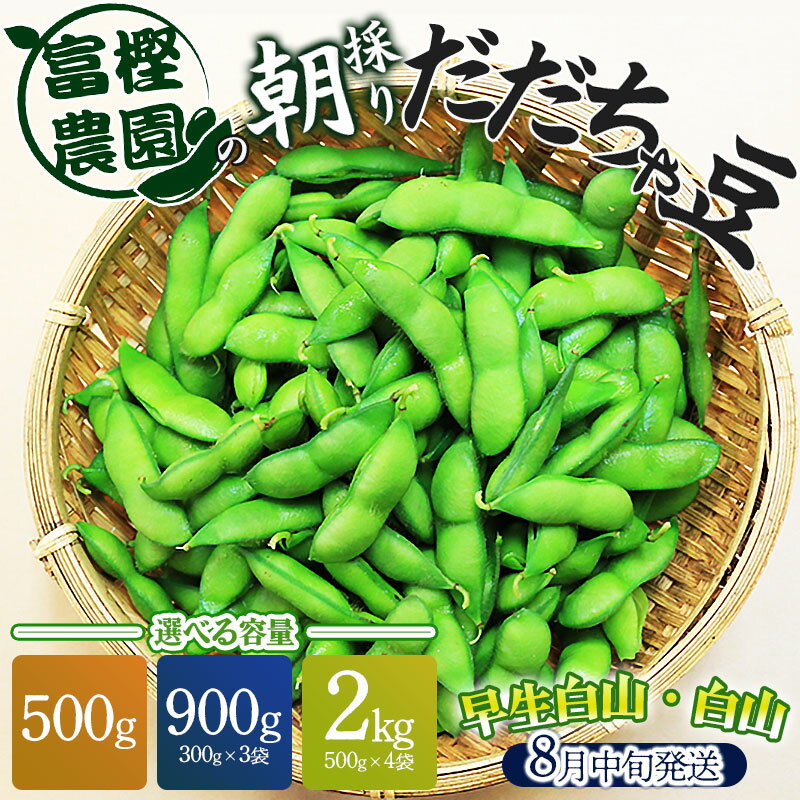 【令和8年産先行予約】富樫農園の朝採りだだちゃ豆【8月中旬発送】選べる容量［500g〜2kg］早生白山・白山 K-812/K-820/K-842 山形県鶴岡市産 枝豆