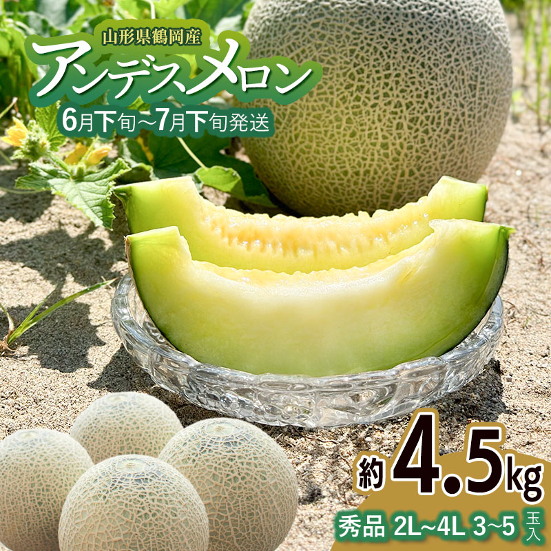 【令和8年産先行予約】アンデスメロン（青肉） 約4.5kg 2L〜4L 【秀品】 3〜5玉入 【6月下旬〜7月下旬頃発送予定】 山形県鶴岡産 庄内砂丘メロン 御殿まりメロン 丸果庄内青果