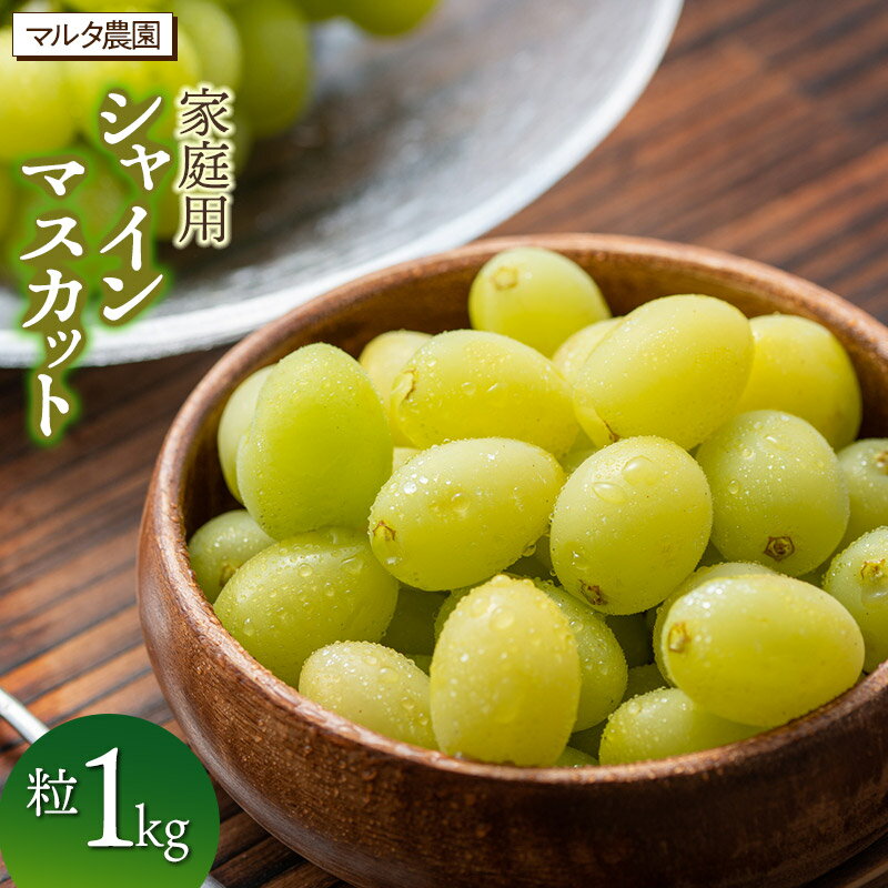 【令和8年3月13日まで発送】家庭用シャインマスカット 【粒】1kg　マルタ農園