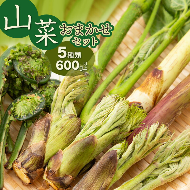【令和8年発送】山菜おまかせセット（5種以上）　計600g以上 山形県鶴岡産　グレイスファーム