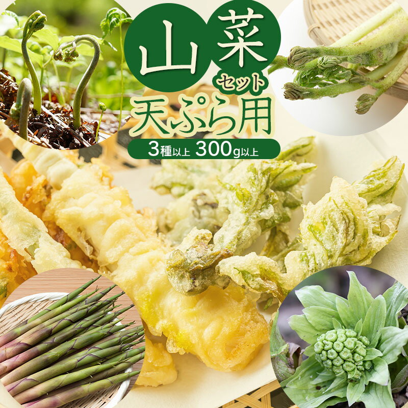 【令和8年発送】山菜セット天ぷら用（3種以上） 計300g以上 山形県鶴岡産　グレイスファーム