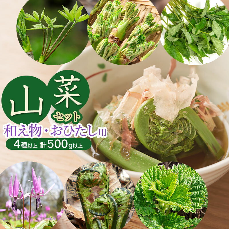 【令和8年発送】山菜セット和え物・おひたし用（4種以上） 計500g以上 山形県鶴岡産　グレイスファーム