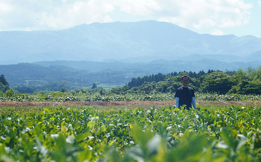 【ふるさと納税】だだちゃ豆（冷凍 1.5kg）冷凍加工 枝豆 A26-612 | 山形県 鶴岡市 支援 東北 えだまめ エダマメ 特産品 お取り寄せ ご当地 茶豆 名産品 おつまみ 酒のつまみ グルメ 食品 酒の肴 - 画像3