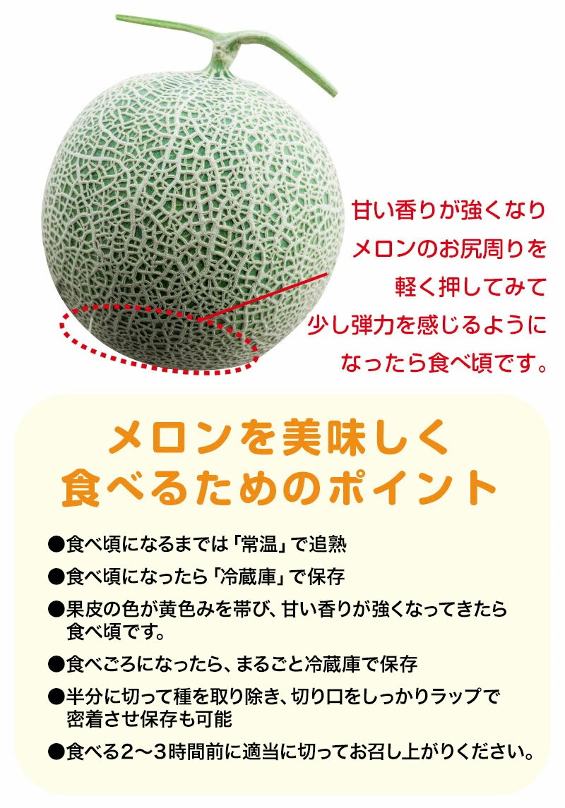 【ふるさと納税】【令和8年産先行予約】 アンデスメロン (青肉) (3〜5玉) 秀品 4L〜2Lサイズ　K-839 | 山形県 鶴岡市 返礼品 フルーツ 果物 くだもの お取り寄せ グルメ めろん 果実 約5kg 2026年 - 画像3