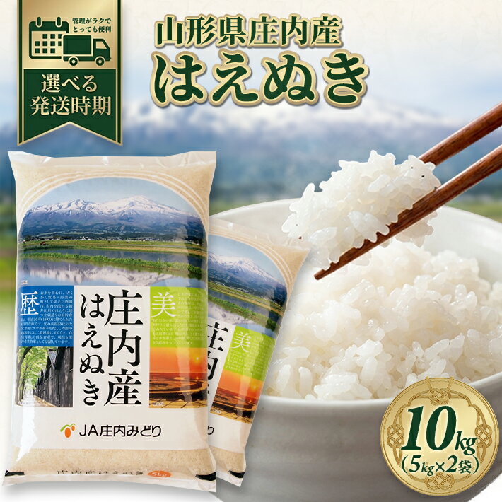 はえぬき 5kg×2袋 計10kg 令和7年産米 山形県庄内産 ご希望の時期頃にお届け 米 お米 精米 白米 農協 JA 発送時期が選べる