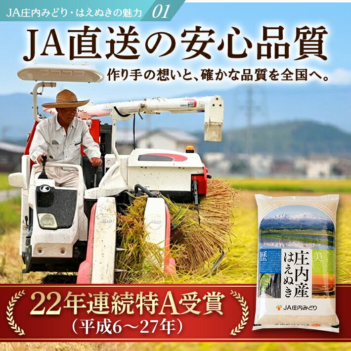 【ふるさと納税】はえぬき 5kg×2袋 計10kg 令和7年産米 山形県庄内産 ご希望の時期頃にお届け 米 お米 精米 白米 農協 JA 発送時期が選べる - 画像3
