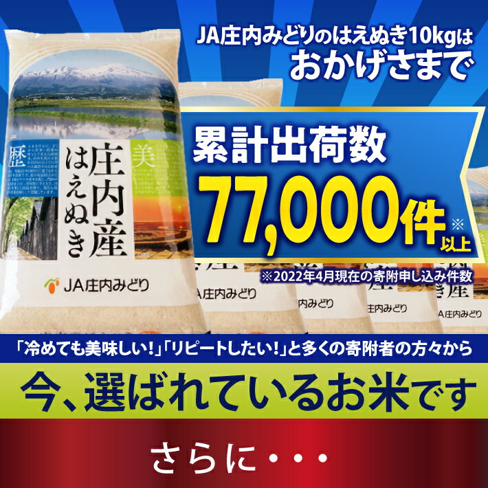 【ふるさと納税】はえぬき 5kg×2袋 計10kg 令和7年産米 山形県庄内産 ご希望の時期頃にお届け 米 お米 精米 白米 農協 JA 発送時期が選べる - 画像2
