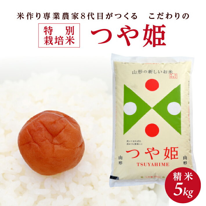 ≪新米予約≫ 特別栽培米 つや姫 5kg 精米 令和8年産米 山形県産 ご希望の時期頃にお届け 米 白米 庄内米 ブランド米 ごはん ご飯 農家直送 産地直送 東北 山形県 酒田市 庄内 発送時期が選べる