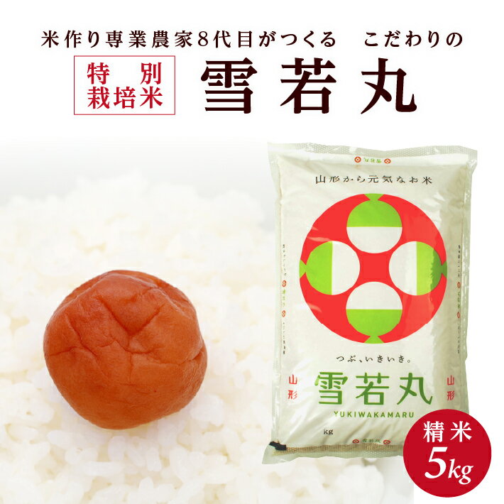 ≪新米予約≫ 特別栽培米 雪若丸 5kg 精米 令和8年産米 山形県産 ご希望の時期頃お届け 米 白米 庄内米 ブランド米 ごはん ご飯 農家直送 産地直送 東北 山形県 酒田市 庄内 発送時期が選べる