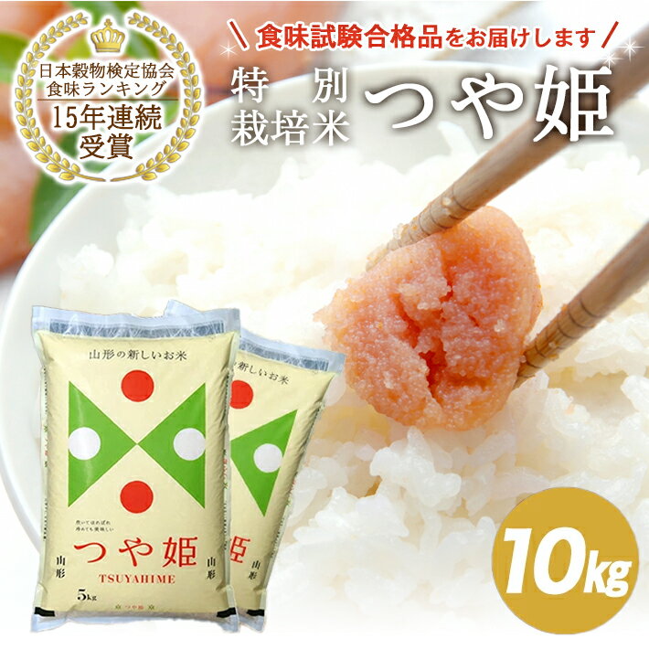 【ふるさと納税】つや姫 計10kg 5kg×2袋 特別栽培米 令和7年産米 山形県産 ご希望時期頃にお届け 米 お米 白米 精米 ブランド米 庄内米 東北 山形県 酒田市 庄内 一括 JA 農協 発送時期が選べる