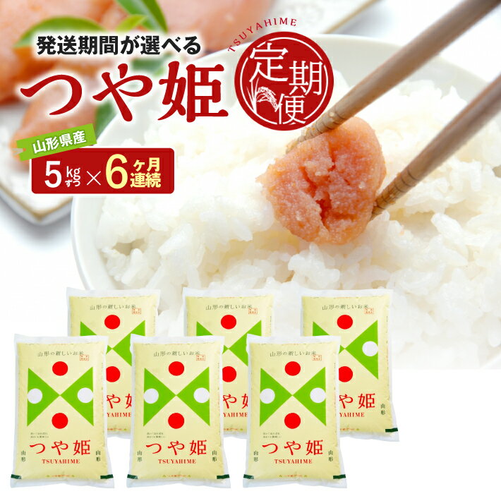 ≪6ヶ月定期便≫ 特別栽培米 つや姫 5kg×6ヶ月連続 計30kg 山形県産 ご希望期間の毎月中旬にお届け 精米 白米 庄内米 米 ごはん ご飯 酒田市 庄内 山形県 東北 農協 JA 定期便 6回