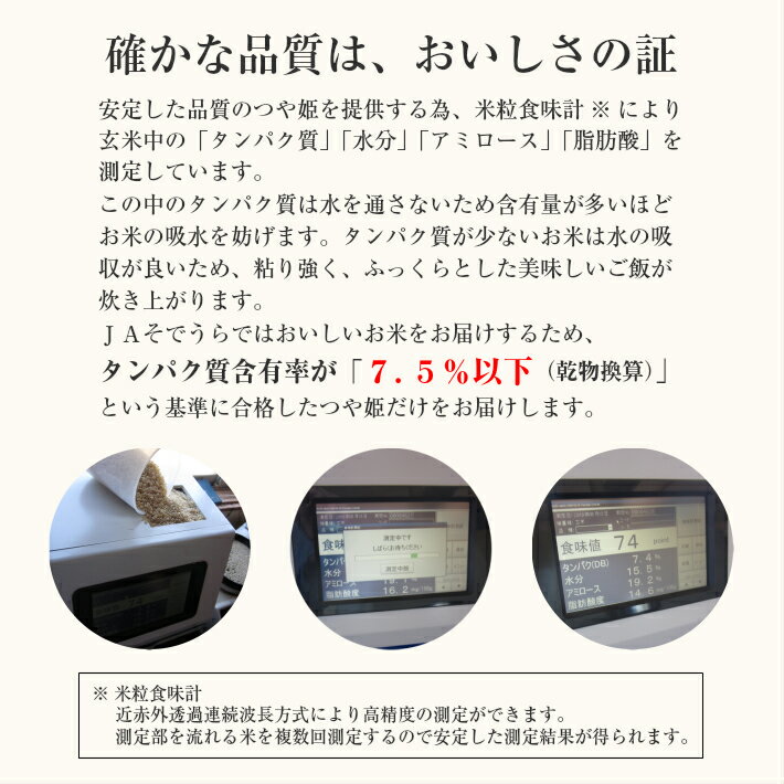 【ふるさと納税】つや姫 計10kg 5kg×2袋 特別栽培米 令和7年産米 山形県産 ご希望時期頃にお届け 米 お米 白米 精米 ブランド米 庄内米 東北 山形県 酒田市 庄内 一括 JA 農協 発送時期が選べる サムネイル3