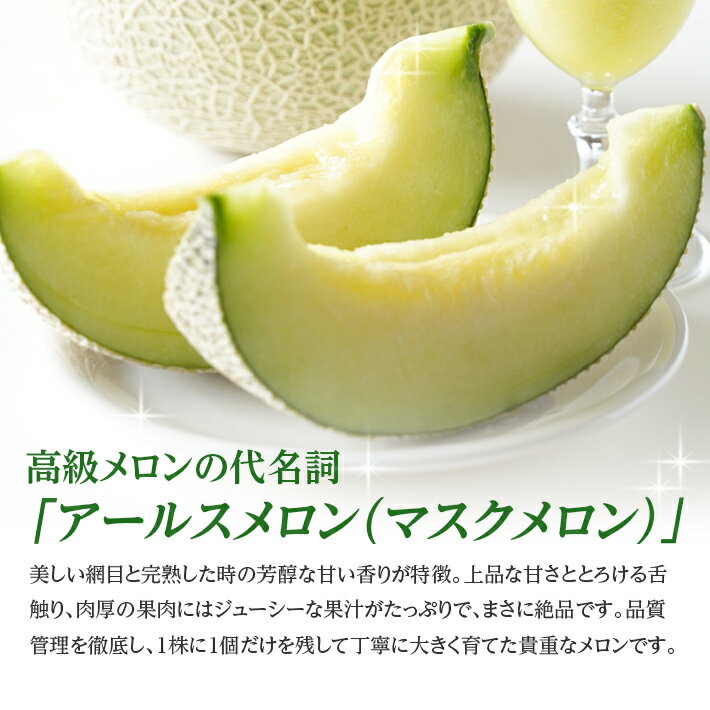 【ふるさと納税】JA直送！ アールスメロン 大玉2玉 3.2kg以上 つる付き 山形県酒田産 8月中旬〜10月中旬頃にお届け ※着日指定不可 マスクメロン 青肉メロン 砂丘メロン メロン 東北 山形県 酒田市 庄内地方 庄内砂丘 農協 産地直送 夏 秋 旬 フルーツ 果物 - 画像3