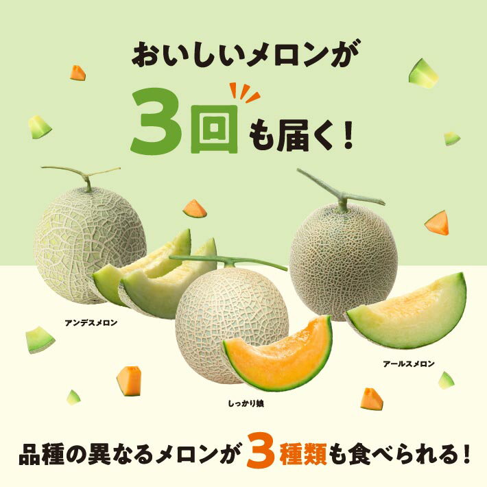 【ふるさと納税】≪3回定期便≫ メロン好きに贈る メロンづくしの定期便2026(1) 6月下旬〜7月上旬「アンデスメロン2玉」 7月中旬〜7月下旬「しっかり娘(赤肉メロン)2玉」 8月中旬〜10月中旬「アールスメロン2玉」 計3回 山形県酒田産 ※着日指定不可 頒布会 食べ比べ - 画像2