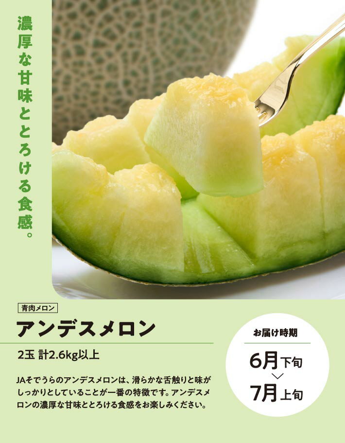 【ふるさと納税】≪3回定期便≫ メロン好きに贈る メロンづくしの定期便2026(1) 6月下旬〜7月上旬「アンデスメロン2玉」 7月中旬〜7月下旬「しっかり娘(赤肉メロン)2玉」 8月中旬〜10月中旬「アールスメロン2玉」 計3回 山形県酒田産 ※着日指定不可 頒布会 食べ比べ - 画像3