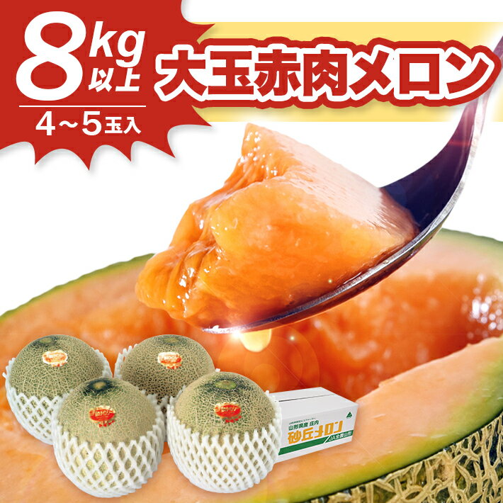JA直送 大玉赤肉メロン 4〜5玉 8kg以上 つる無し 山形県酒田産 2026年6月下旬〜7月下旬頃お届け ※着日指定不可 メロン 赤肉メロン 赤肉 フルーツ 大玉 ジューシー 夏 旬 農協 JA 東北 山形県 庄内 酒田
