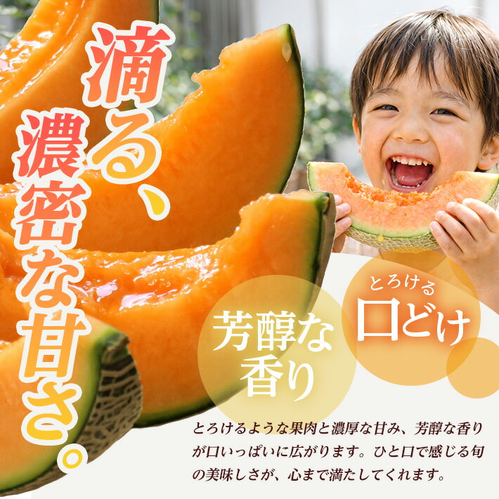 【ふるさと納税】JA直送 大玉赤肉メロン 4〜5玉 8kg以上 つる無し 山形県酒田産 2026年6月下旬〜7月下旬頃お届け ※着日指定不可 メロン 赤肉メロン 赤肉 フルーツ 果物 くだもの 大玉 ジューシー 夏 旬 農協 JA 東北 山形県 庄内 酒田 - 画像2