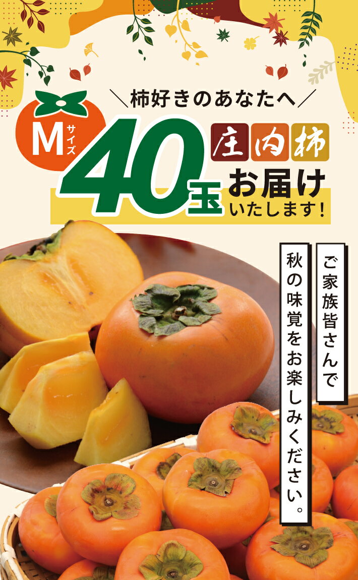 【ふるさと納税】庄内柿 平核無柿 Mサイズ 40玉 約7.2kg 10月中旬〜11月中旬頃お届け ※着日指定不可 東北 山形県 酒田市 庄内地方 柿 かき カキ 種無し柿 種なし柿 ご家庭用 農協 JA 産地直送 果物 くだもの フルーツ 冬 秋 旬 - 画像2