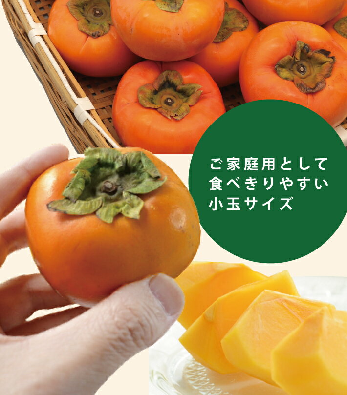 【ふるさと納税】庄内柿 平核無柿 Mサイズ 40玉 約7.2kg 10月中旬〜11月中旬頃お届け ※着日指定不可 東北 山形県 酒田市 庄内地方 柿 かき カキ 種無し柿 種なし柿 ご家庭用 農協 JA 産地直送 果物 くだもの フルーツ 冬 秋 旬 - 画像3