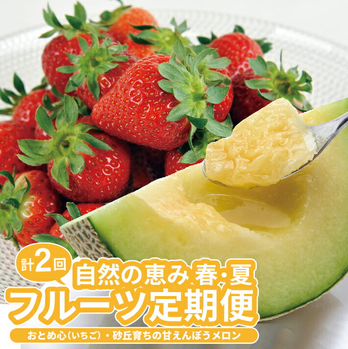 ≪2回定期便≫ 自然の恵み 春・夏フルーツ定期便2026 4月下旬〜5月下旬「おとめ心(いちご)」 6月下旬〜7月中旬「砂丘育ちの甘えんぼう(青肉メロン)」 計2回 山形県酒田産 ※着日指定・離島発送不可 頒布会 苺 イチゴ メロン