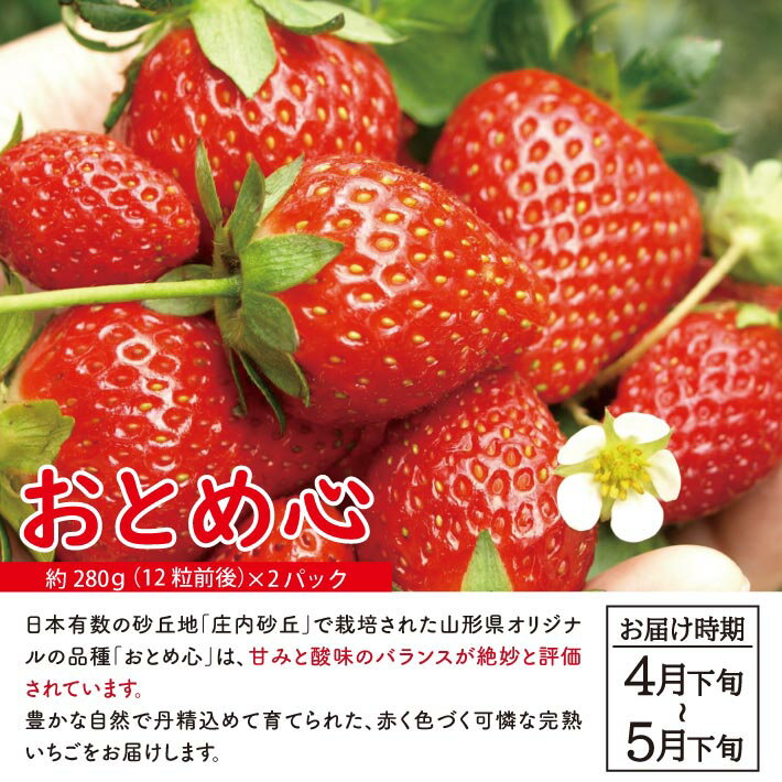 【ふるさと納税】≪2回定期便≫ 自然の恵み 春・夏フルーツ定期便2026 4月下旬〜5月下旬「おとめ心(いちご)」 6月下旬〜7月中旬「砂丘育ちの甘えんぼう(青肉メロン)」 計2回 山形県酒田産 ※着日指定・離島発送不可 頒布会 苺 イチゴ メロン サムネイル2