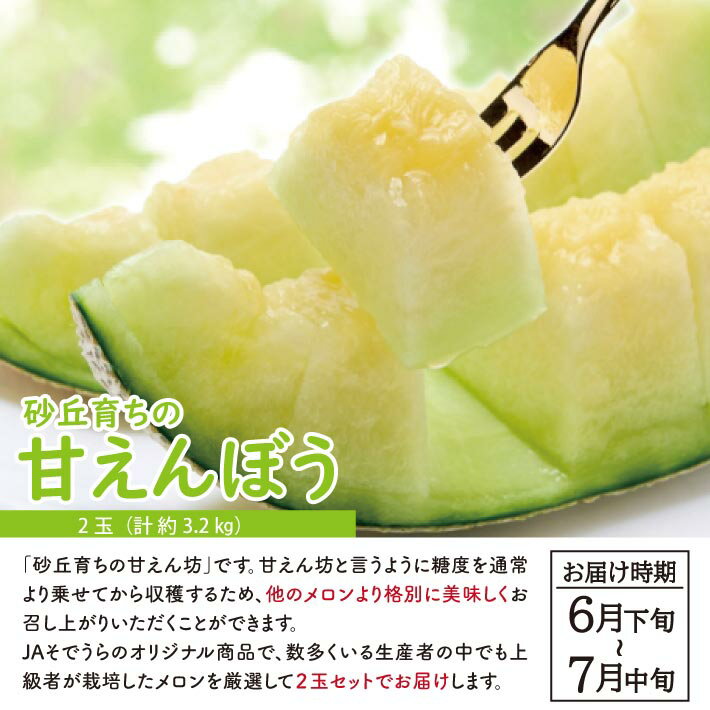 【ふるさと納税】≪2回定期便≫ 自然の恵み 春・夏フルーツ定期便2026 4月下旬〜5月下旬「おとめ心(いちご)」 6月下旬〜7月中旬「砂丘育ちの甘えんぼう(青肉メロン)」 計2回 山形県酒田産 ※着日指定・離島発送不可 頒布会 苺 イチゴ メロン サムネイル3