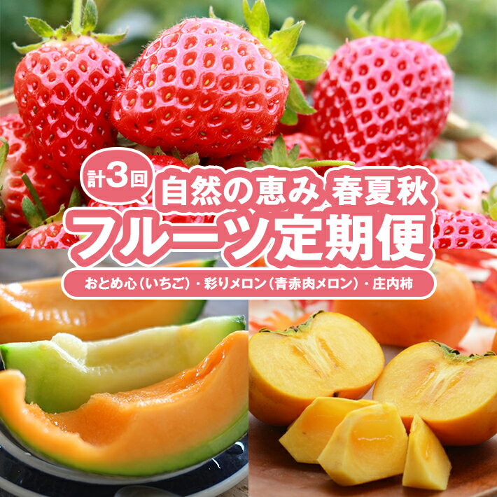 ≪3回定期便≫ 自然の恵み 春・夏・秋フルーツ定期便(2)2026 4月下旬〜5月下旬「おとめ心(いちご)」 7月上旬～7月下旬「彩りメロン(青肉・赤肉)」 10月中旬〜11月下旬「庄内柿」 計3回 山形県酒田産 ※着日指定・離島発送不可 頒布会 イチゴ カキ 春 夏 秋