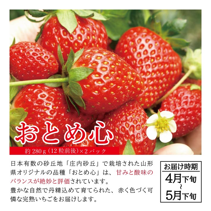 【ふるさと納税】≪3回定期便≫ 自然の恵み 春・夏・秋フルーツ定期便(2)2026 4月下旬〜5月下旬「おとめ心(いちご)」 7月上旬～7月下旬「彩りメロン(青肉・赤肉)」 10月中旬〜11月下旬「庄内柿」 計3回 山形県酒田産 ※着日指定・離島発送不可 頒布会 イチゴ カキ 春 夏 秋 サムネイル3
