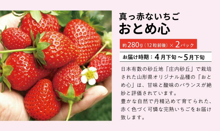 【ふるさと納税】≪3回定期便≫ 自然の恵み 春・夏フルーツ定期便2026 4月下旬〜5月下旬「おとめ心(いちご)」 6月下旬〜7月上旬「砂丘育ちの甘えん坊メロン(青肉メロン)」 7月中旬〜7月下旬「姫甘泉(小玉スイカ)」 計3回 山形県酒田産 ※着日指定・離島発送不可 果物 頒布会 サムネイル2