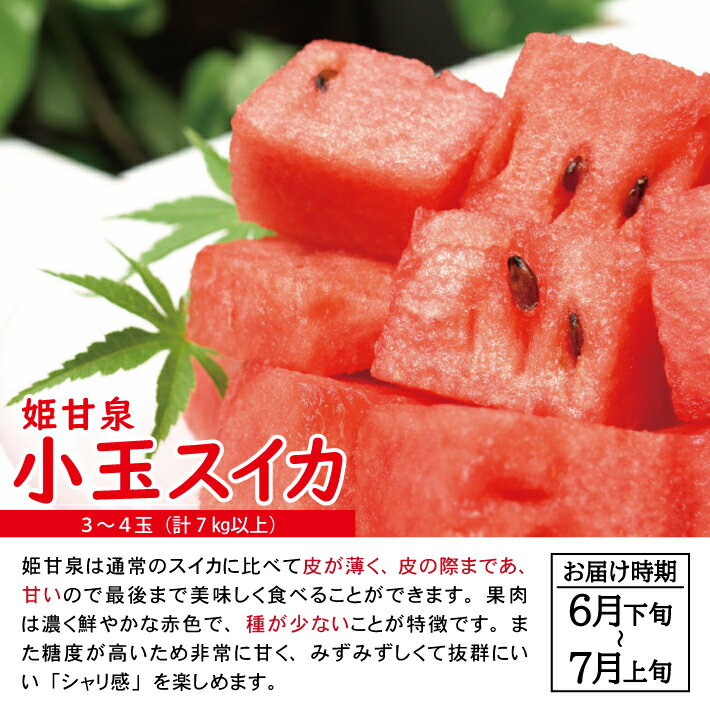 【ふるさと納税】≪3回定期便≫ 自然の恵み 夏・秋フルーツ定期便2026 6月下旬〜7月上旬「小玉スイカ(姫甘泉)」 7月中旬〜7月下旬「彩りメロン(青肉・赤肉)」 10月中旬〜11月下旬「庄内柿」 計3回 山形県酒田産 ※着日指定不可 頒布会 果物 西瓜 すいか かき カキ 平種無し柿 - 画像2