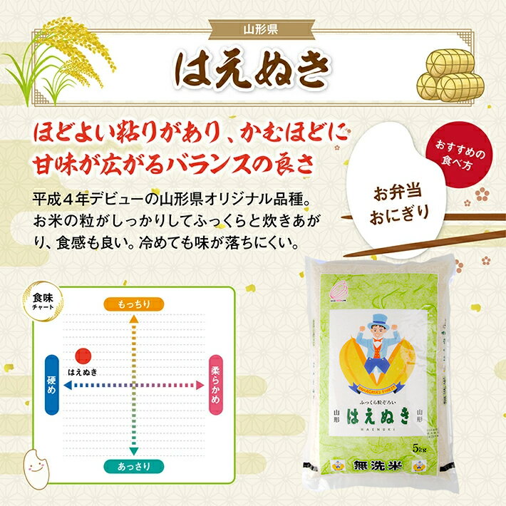 【ふるさと納税】無洗米 はえぬき 5kg×2袋 計10kg 令和7年産米 山形県産 ご希望の時期頃お届け 米 精米 白米 庄内米 ごはん ご飯 庄内平野 酒田市 庄内 山形県 東北 セット 発送時期が選べる サムネイル2