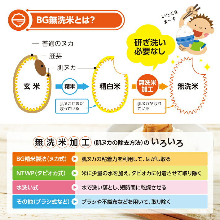 【ふるさと納税】無洗米 はえぬき 5kg×2袋 計10kg 令和7年産米 山形県産 ご希望の時期頃お届け 米 精米 白米 庄内米 ごはん ご飯 庄内平野 酒田市 庄内 山形県 東北 セット 発送時期が選べる サムネイル3