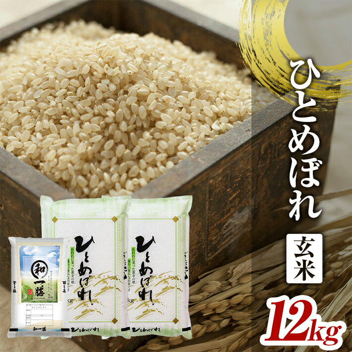 ひとめぼれ 玄米 計12kg 5kg×2袋 2kg×1袋 令和7年産 山形県酒田産 東北 山形県 酒田市 庄内地方 庄内平野 庄内米 お米 ごはん ご飯 小分け