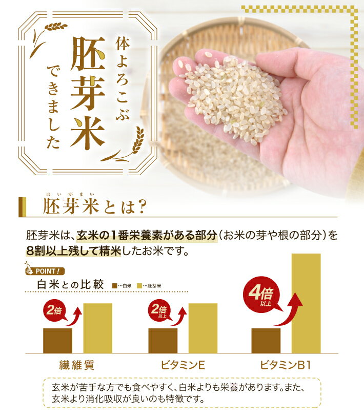 【ふるさと納税】はえぬき胚芽米 5kg 令和7年産米 山形県酒田産 米 お米 庄内米 東北 山形県 酒田市 庄内 農家直送 産地直送 - 画像2