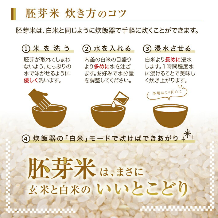 【ふるさと納税】はえぬき胚芽米 5kg 令和7年産米 山形県酒田産 米 お米 庄内米 東北 山形県 酒田市 庄内 農家直送 産地直送 - 画像3