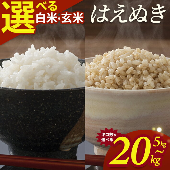 はえぬき 選べる 5kg 10kg 15kg 20kg 白米 玄米 令和7年産 山形県酒田産 東北 山形県 酒田市 庄内地方 庄内平野 庄内米 お米 ごはん ご飯 精米