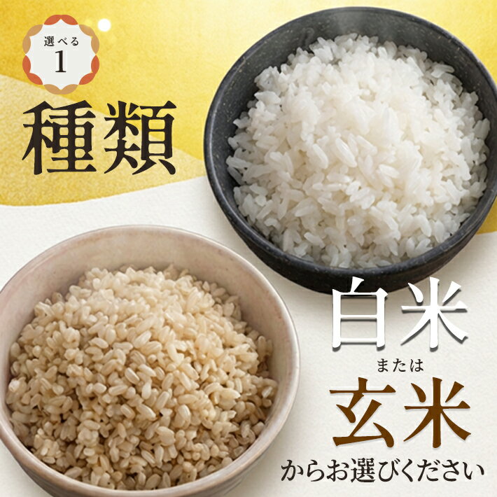 【ふるさと納税】はえぬき 選べる 5kg 10kg 15kg 20kg 白米 玄米 令和7年産 山形県酒田産 東北 山形県 酒田市 庄内地方 庄内平野 庄内米 お米 ごはん ご飯 精米 - 画像2
