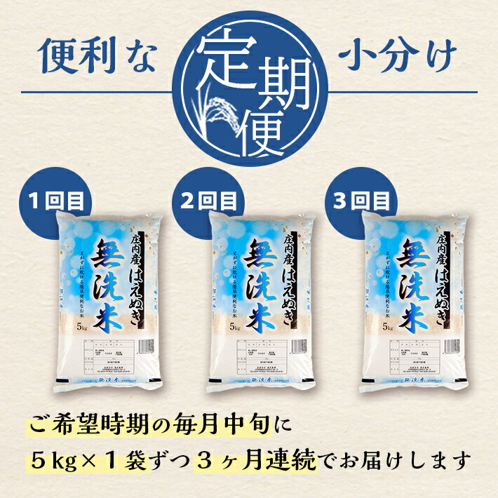 【ふるさと納税】≪3ヶ月定期便≫ 無洗米 はえぬき 5kg×3ヶ月連続 計15kg 山形県庄内産 ご希望期間の毎月中旬にお届け 東北 山形県 酒田市 庄内地方 庄内平野 米 無洗米 庄内米 定期便 小分け - 画像2
