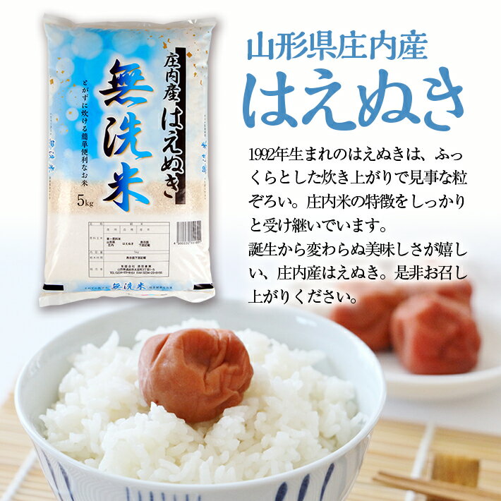 【ふるさと納税】≪3ヶ月定期便≫ 無洗米 はえぬき 5kg×3ヶ月連続 計15kg 山形県庄内産 ご希望期間の毎月中旬にお届け 東北 山形県 酒田市 庄内地方 庄内平野 米 無洗米 庄内米 定期便 小分け - 画像3
