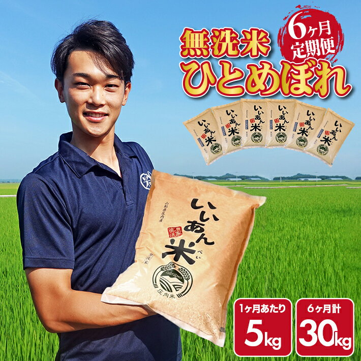 ≪6ヶ月定期便≫ 無洗米 ひとめぼれ 5kg×6ヶ月連続 計30kg 山形県庄内産 ご希望期間の毎月中旬頃お届け 産地直送 定期便 米 お米 精米 白米 庄内米 いいあん米 ブランド米 東北 酒田市 アグレスト JGAP認証農場