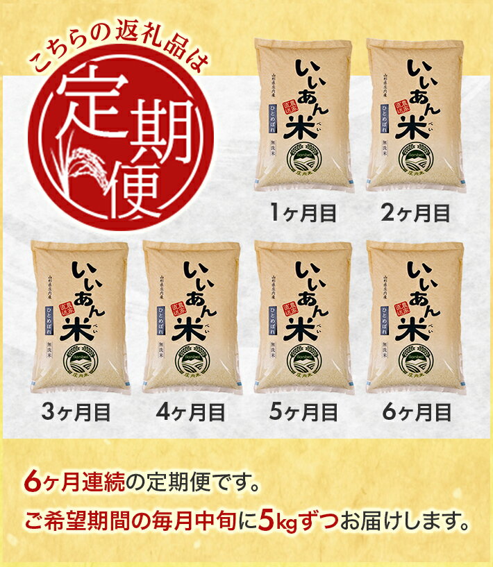 【ふるさと納税】≪6ヶ月定期便≫ 無洗米 ひとめぼれ 5kg×6ヶ月連続 計30kg 山形県庄内産 ご希望期間の毎月中旬頃お届け 産地直送 定期便 米 お米 精米 白米 庄内米 いいあん米 ブランド米 東北 酒田市 アグレスト JGAP認証農場 - 画像2