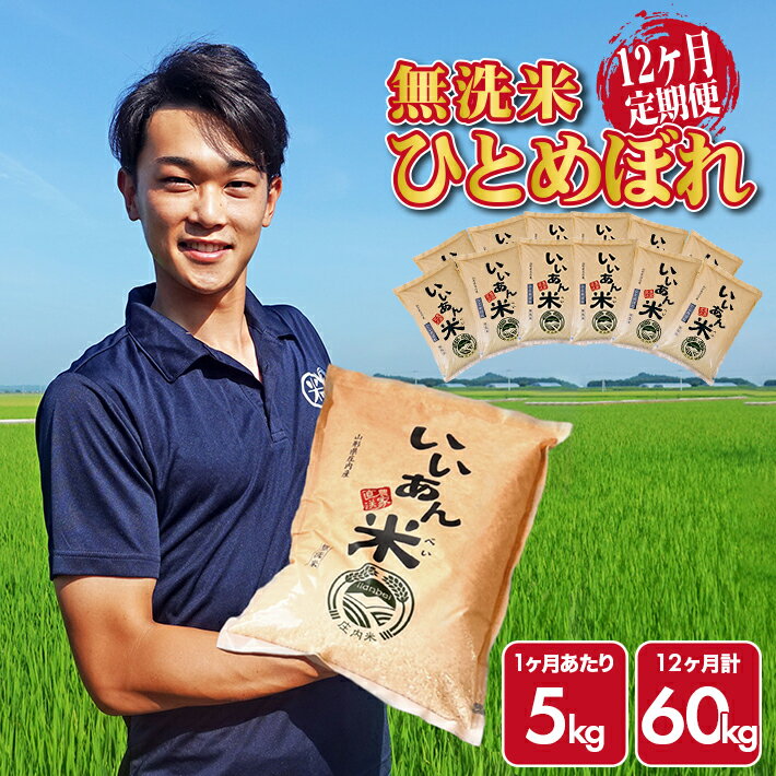≪12ヶ月定期便≫ 無洗米ひとめぼれ 5kg×12ヶ月連続 計60kg 山形県庄内産 ご希望期間の毎月中旬頃お届け 産地直送 定期便 米 お米 精米 白米 庄内米 いいあん米 ブランド米 東北 酒田市 アグレスト JGAP認証農場