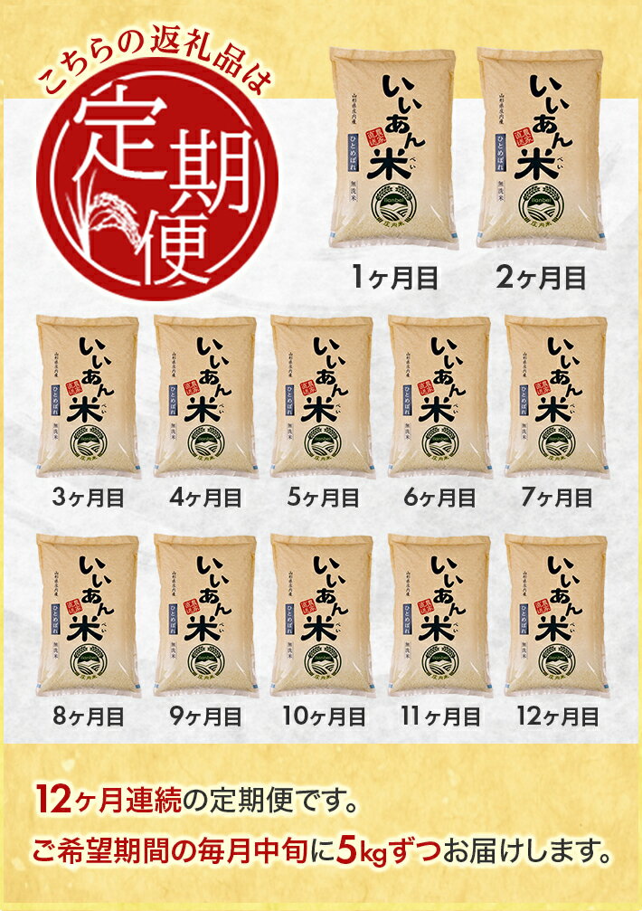 【ふるさと納税】≪12ヶ月定期便≫ 無洗米ひとめぼれ 5kg×12ヶ月連続 計60kg 山形県庄内産 ご希望期間の毎月中旬頃お届け 産地直送 定期便 米 お米 精米 白米 庄内米 いいあん米 ブランド米 東北 酒田市 アグレスト JGAP認証農場 - 画像2