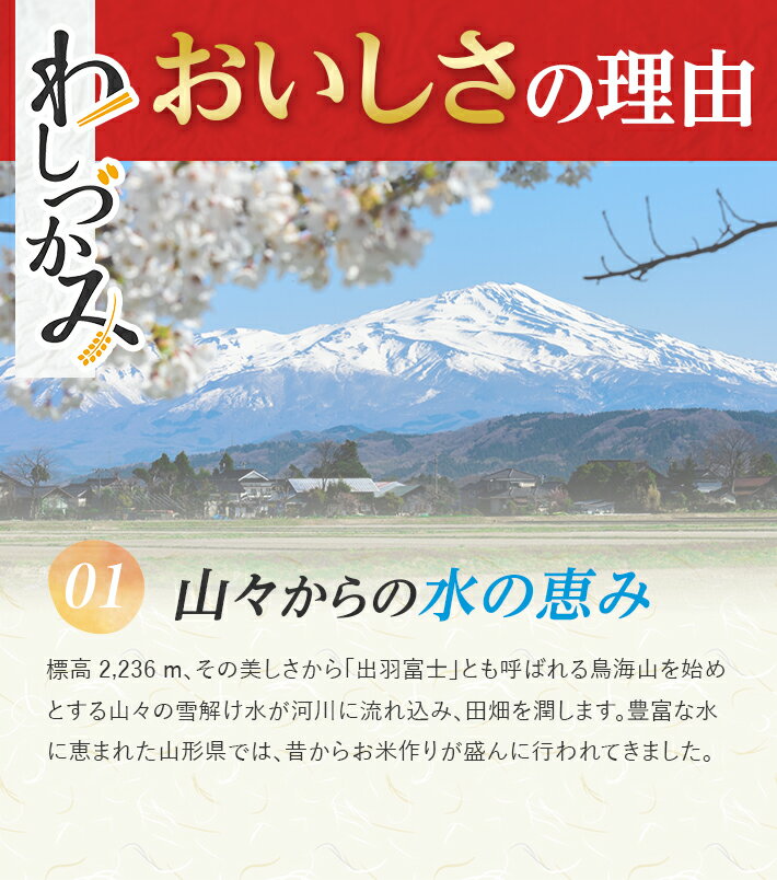 【ふるさと納税】無洗米 わしづかみ 5kg 山形県産米100% 複数原料米 ご希望の時期頃お届け ブレンド米 お米 庄内米 精米 白米 ごはん 東北 山形県 酒田市 庄内 農家直送 産地直送 発送時期が選べる - 画像3