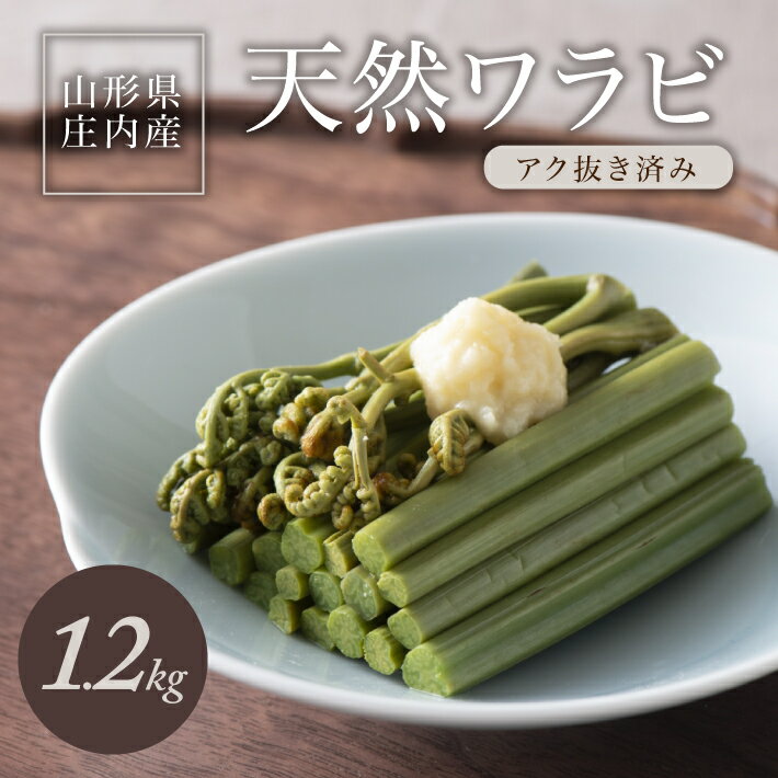 庄内産 天然わらび（アク抜き済み） 約1.2kg（200g×6束） 5月上旬〜6月上旬頃お届け 冷蔵便 ※着日指定・離島発送不可 ワラビ 山菜 東北 山形県 酒田市 庄内 春