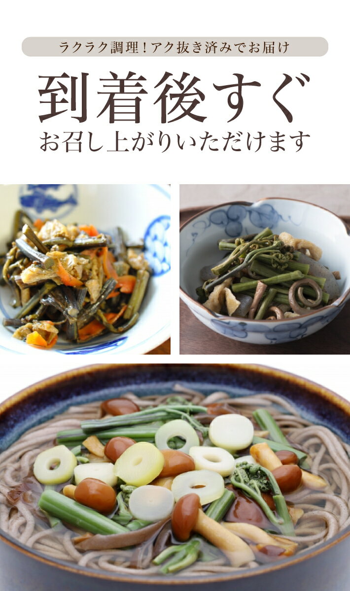 【ふるさと納税】庄内産 天然わらび（アク抜き済み） 約1.2kg（200g×6束） 5月上旬〜6月上旬頃お届け 冷蔵便 ※着日指定・離島発送不可 ワラビ 山菜 東北 山形県 酒田市 庄内 春 - 画像2